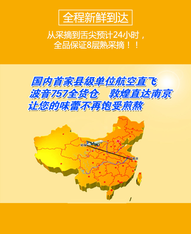 甘肃敦煌李广杏  全国EMS包邮