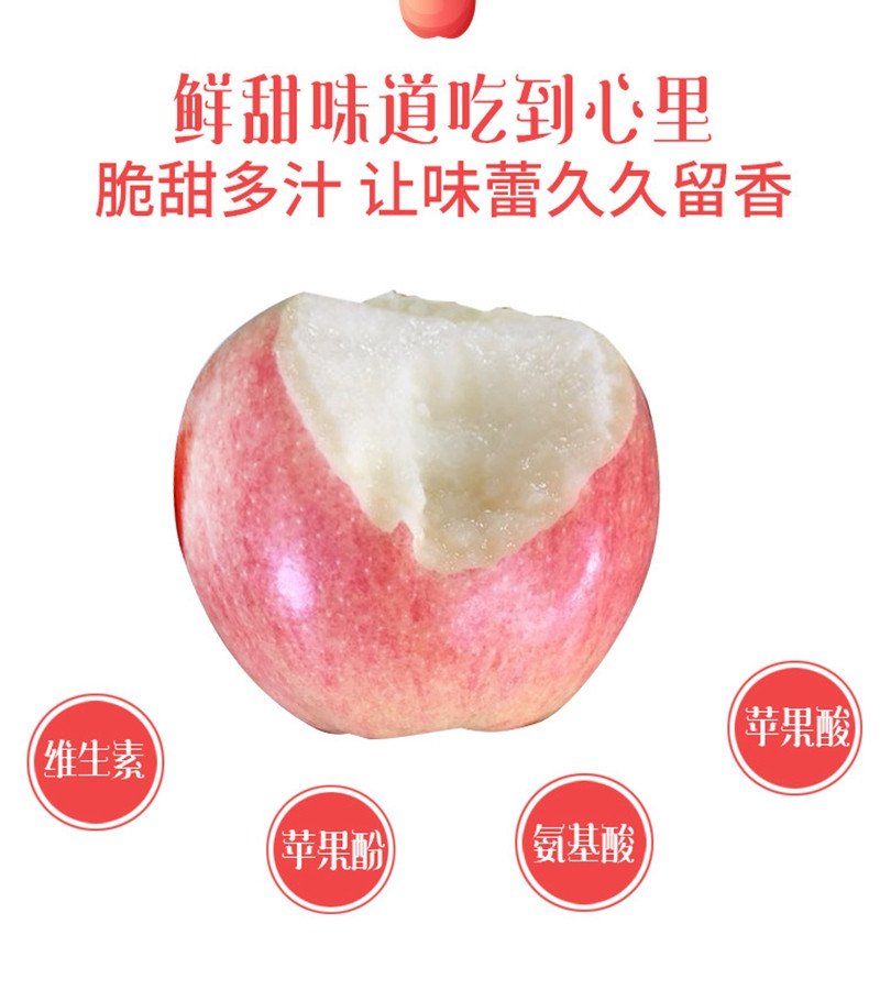 【一箱双鲜】“北京七号”蜜桃  +“世界一号”苹果完美组合  12枚包邮