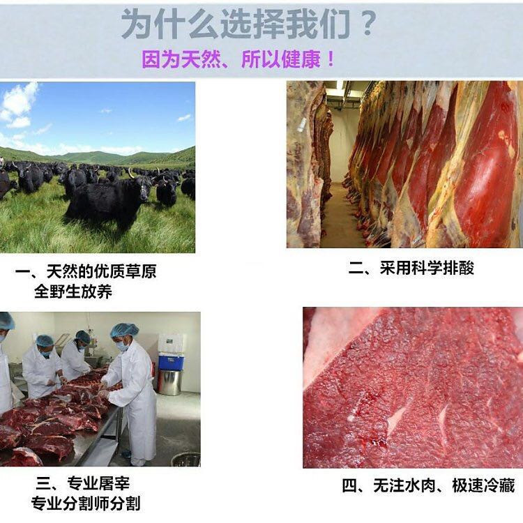 中国邮政 高原牦牛排  5斤装 仅限四川、重庆   包邮