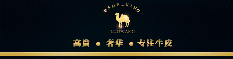 CAMELKING骆王时尚潮流头层牛皮新款女双肩包大容量真皮休闲简约纯色百搭学院出游必备双肩背包