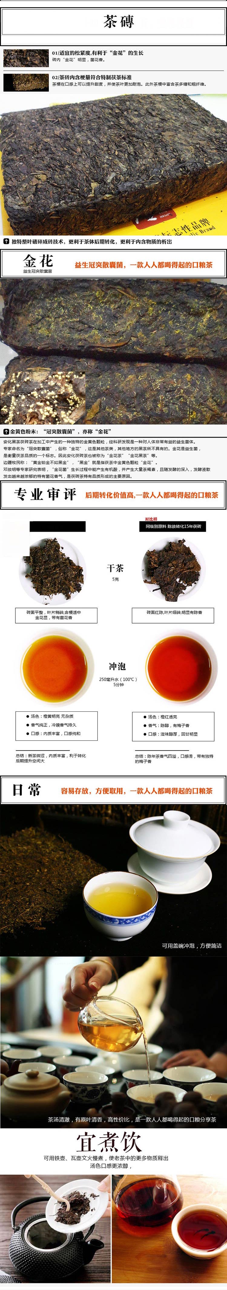 江南小镇 茯天下茯砖