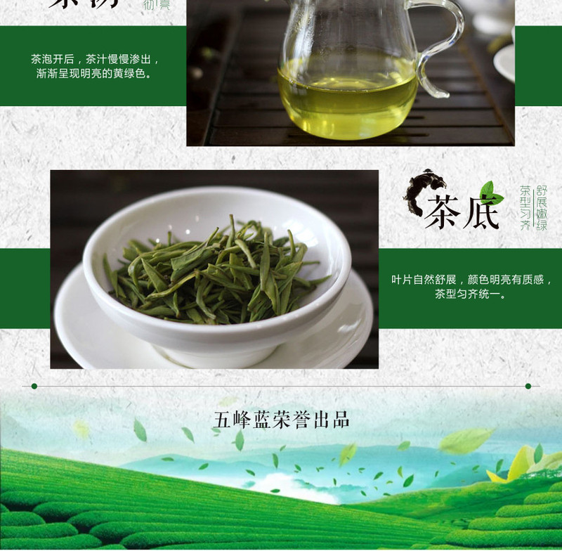 【邮政扶贫】湖北五峰绿茶雨前香浓耐泡绿茶茶韵毛尖便携装48g