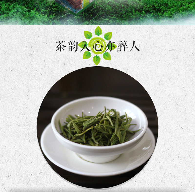 【邮政扶贫】湖北五峰绿茶雨前香浓耐泡绿茶茶韵毛尖便携装48g