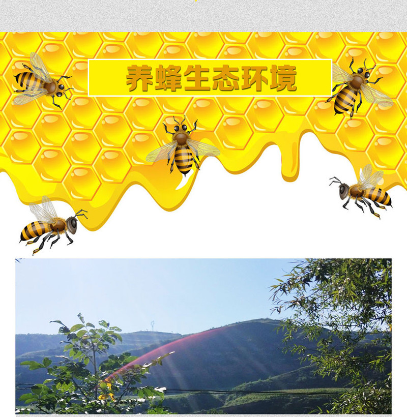 五峰印象 高山百花蜂蜜 农家自制 土蜂蜜 伴手蜜800g两盒装 包邮