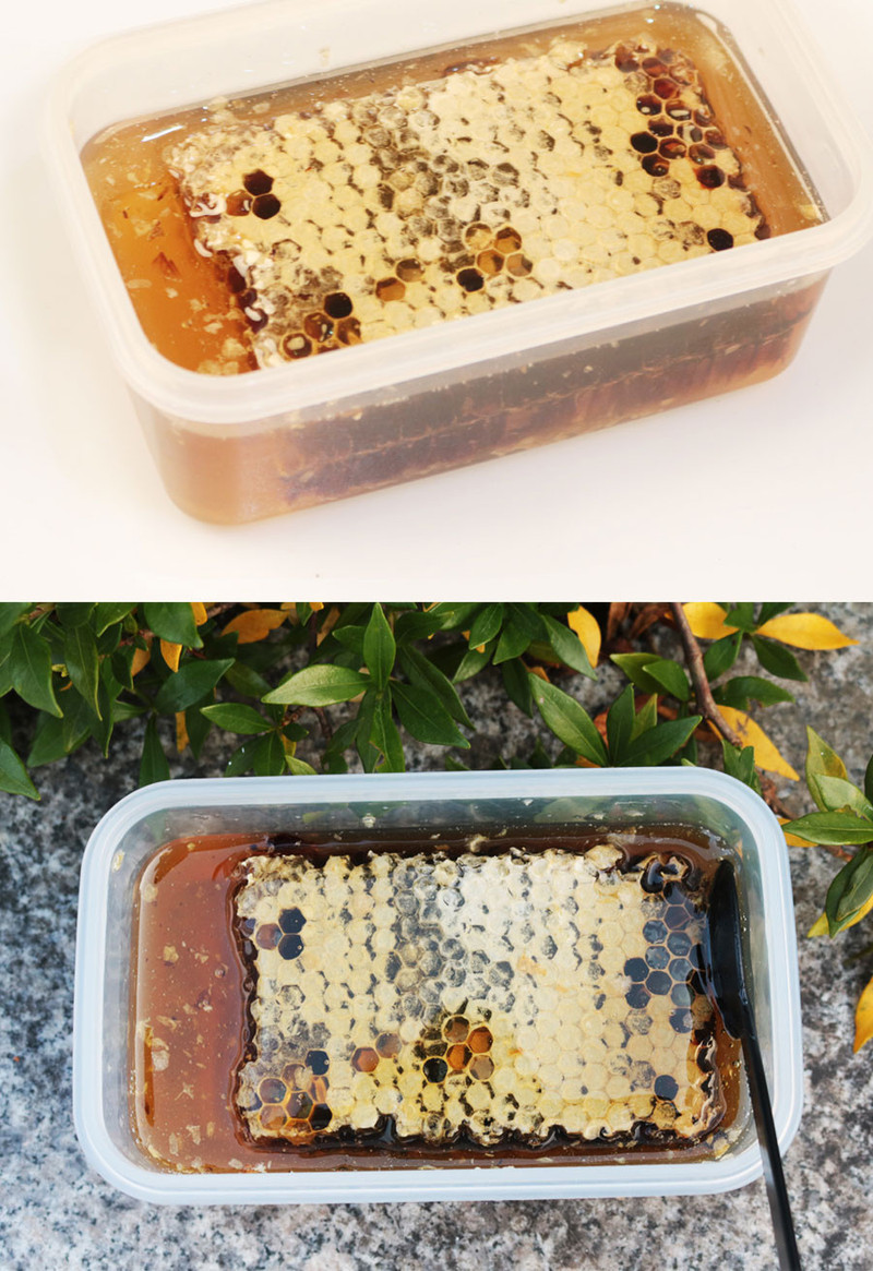 五峰印象 天然农家自产巢蜜 食盒装 蜂窝蜜 老蜂巢450g包邮