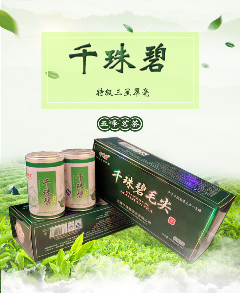 五峰毛尖 千珠碧三星翠毫毛尖特级明前毛尖五峰绿茶48g*8罐