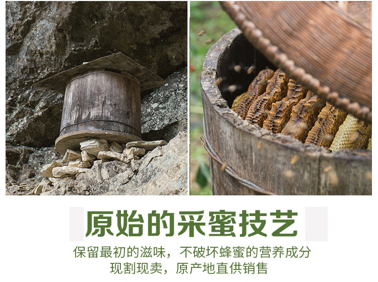 【邮政扶贫】湖北五峰蜂蜜 森林蜂蜜 简装实惠装百花蜜湖北特产500g