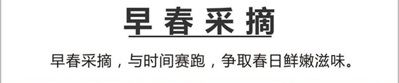 【五峰乡村振兴】五峰绿茶采花毛尖 明前嫩芽毛尖春茶 清香商务袋装茶204g