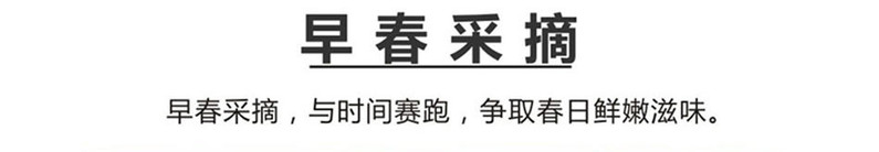 【五峰乡村振兴】五峰绿茶采花毛尖  雨前茶 嫩芽毛尖春茶  品韵竹款简装绿茶200g