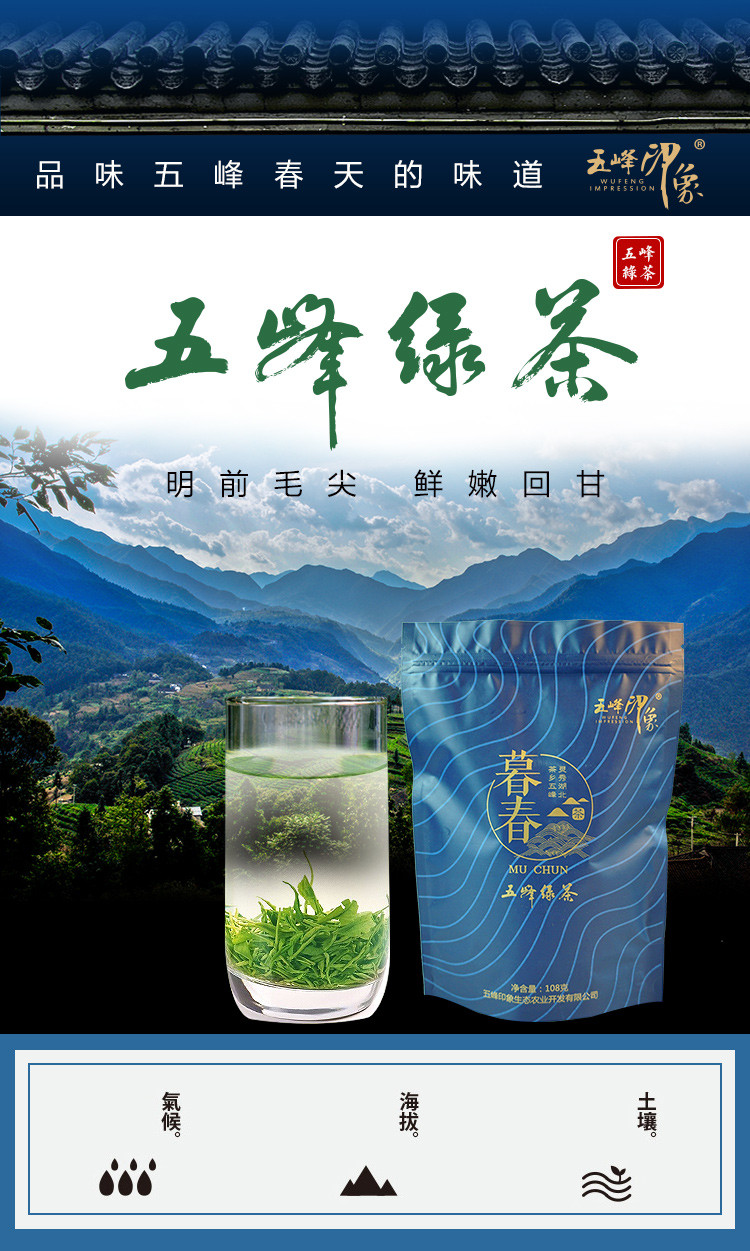 【邮政扶贫】湖北五峰明前毛尖新茶实惠简装绿茶108g