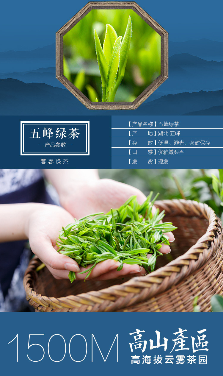 【邮政扶贫】湖北五峰明前毛尖新茶实惠简装绿茶108g