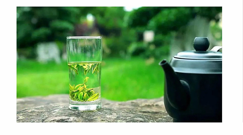 五峰绿茶毛尖口粮茶250g