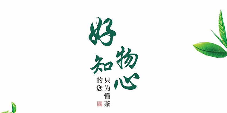 五峰绿茶毛尖口粮茶250g