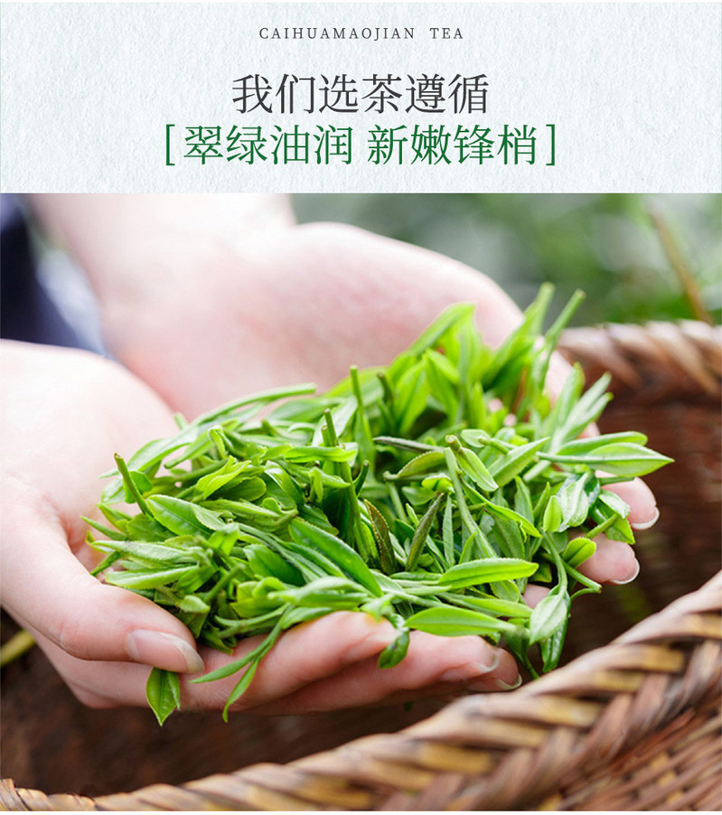 【五峰扶贫馆】湖北五峰采花芽茶银标绿茶 新茶明前茶叶100g