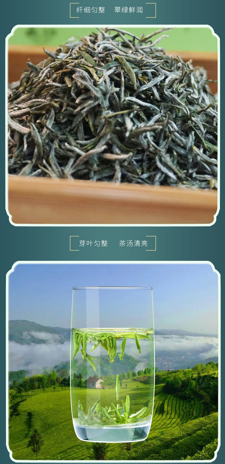 五峰印象 高山云雾芽茶五峰绿茶翠茗125g*2罐装礼盒装