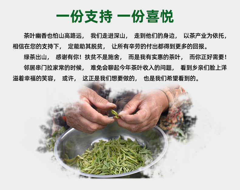 五峰绿茶汲明毛尖明清雨前特级高山毛尖绿茶袋装百圆惠250g/袋