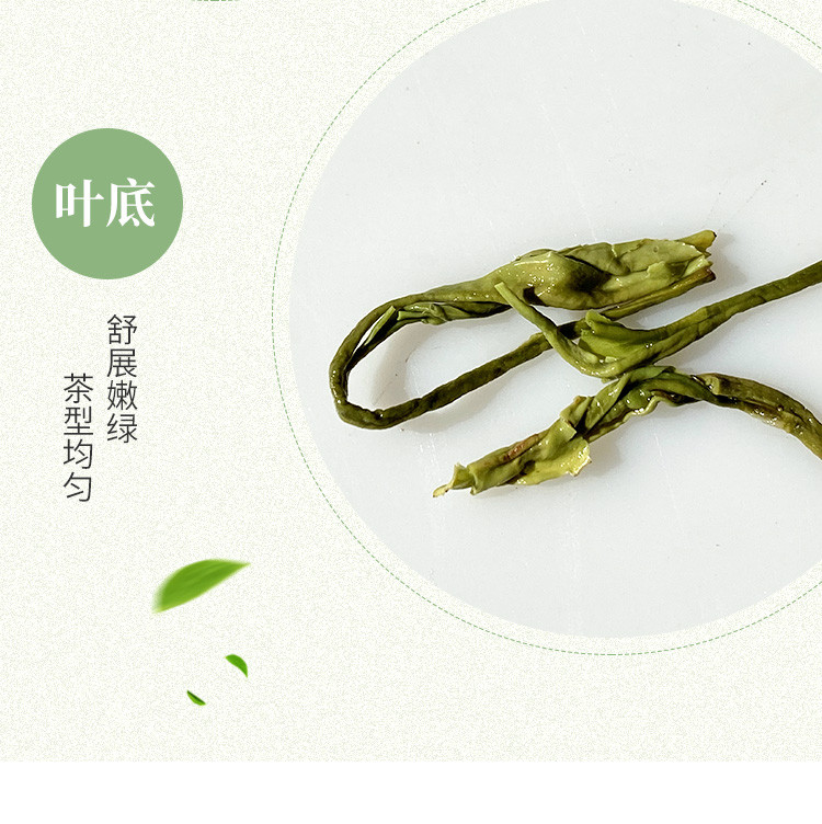 五峰绿茶高山毛尖茶茶韵48g盒