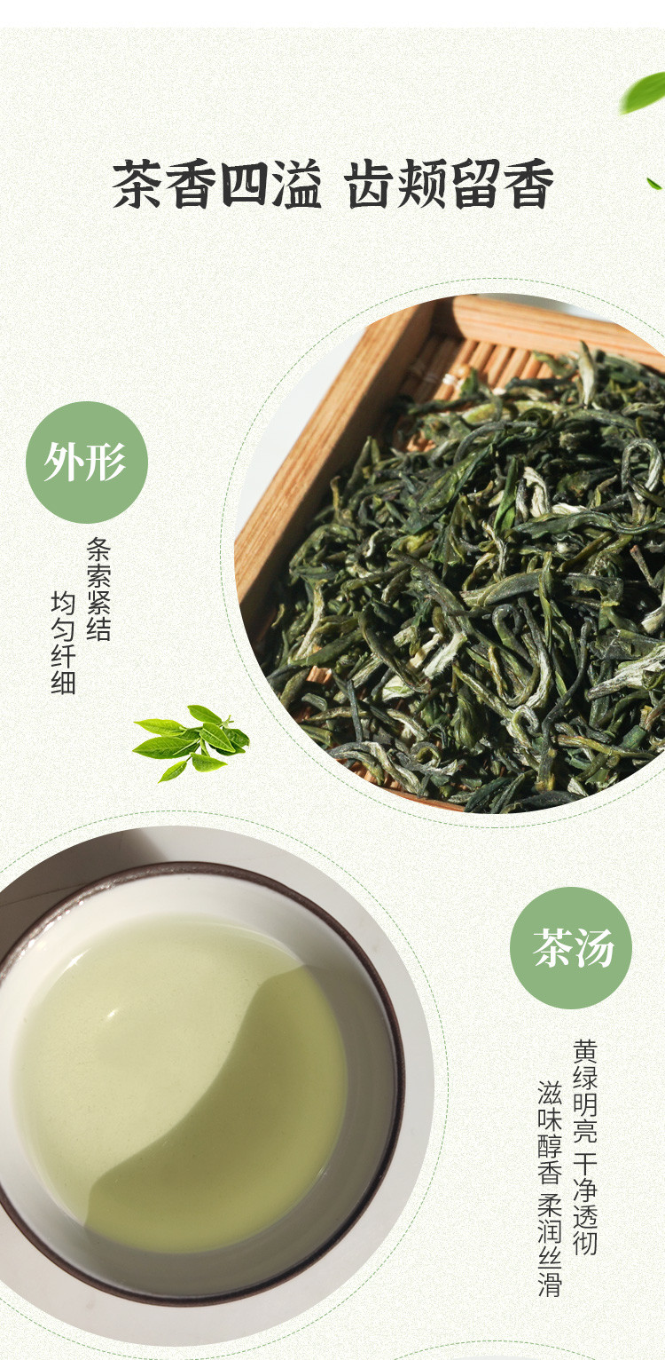 五峰绿茶高山毛尖茶茶韵48g盒