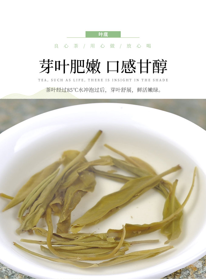 五峰绿茶 忠顺螺青绿袋款250g/袋