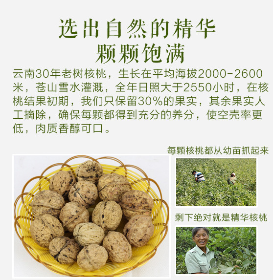 云南薄皮薄壳核桃野生坚果干果孕妇零食特产500g