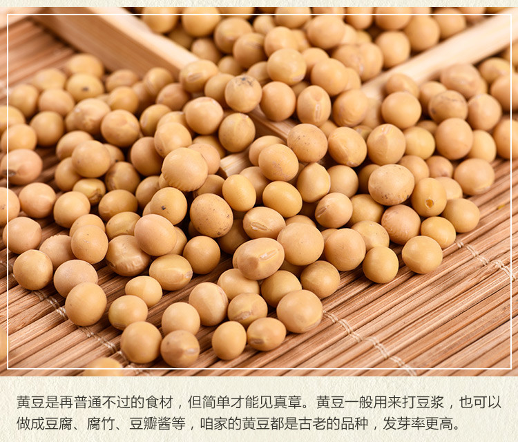 【环县 扶贫馆】环县特产黄豆罐装400g