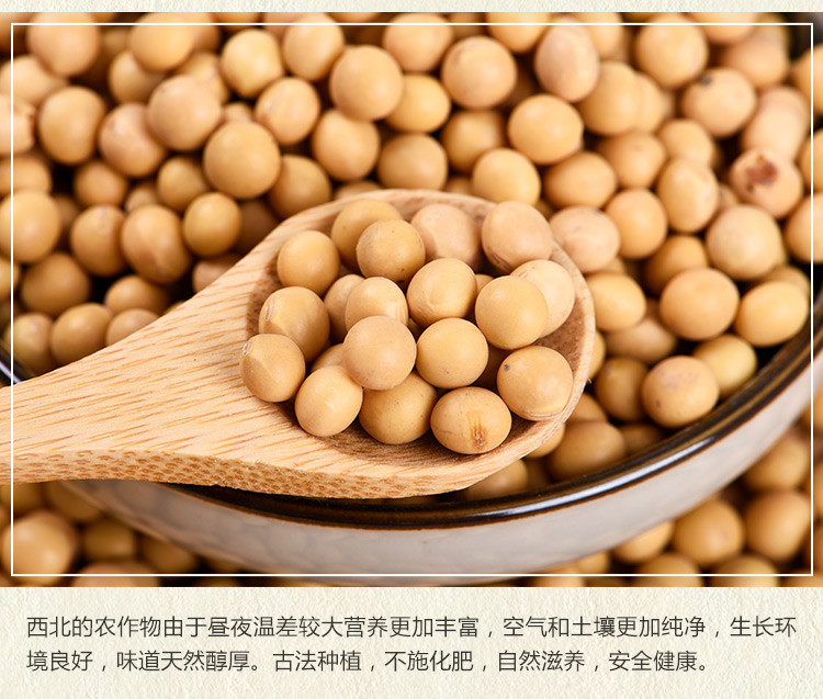 【环县 扶贫馆】环县特产黄豆罐装400g