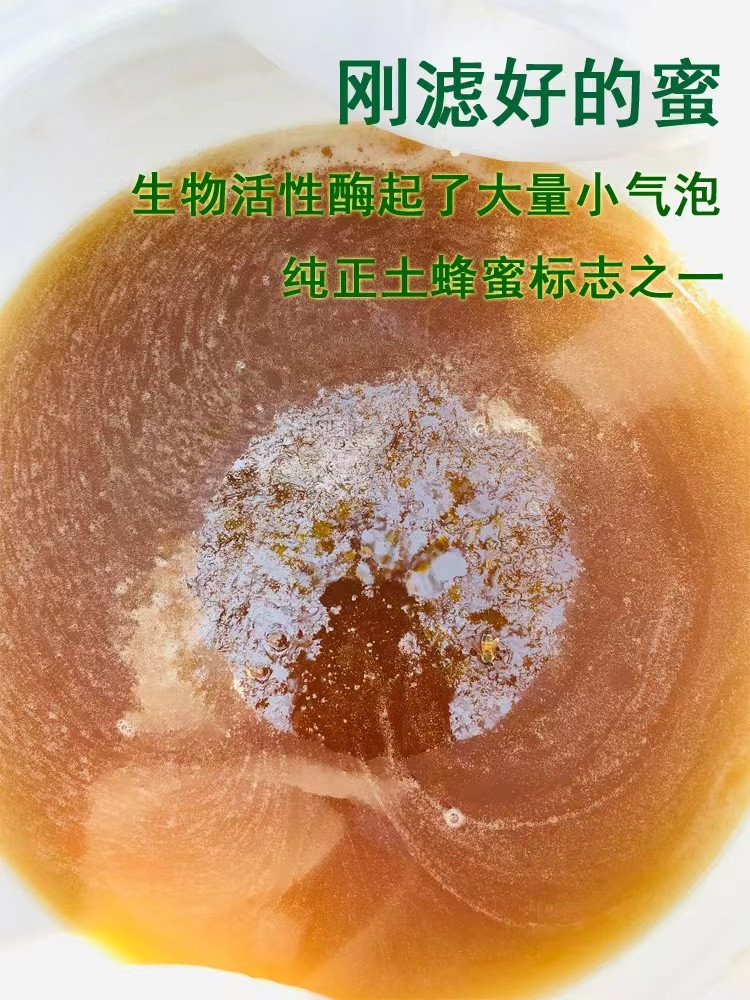 陇佳味 农家自销子午岭大山土蜂蜜