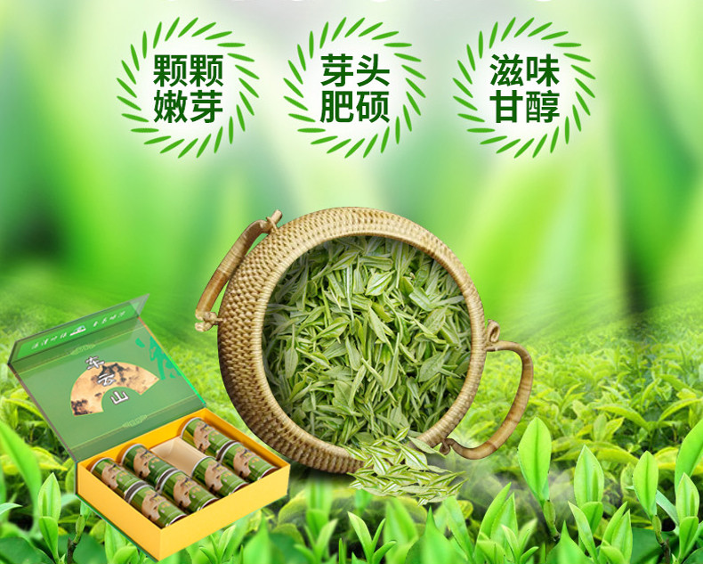 【随县馆】随县 车云山  听装毛尖50g