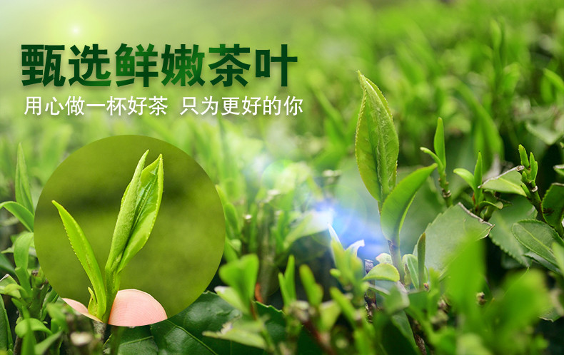 【随县馆】随县 车云山  雨前茶 250g