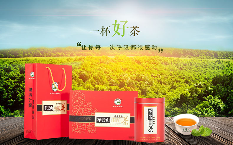 【随县馆】随县 车云山  雨前茶 250g