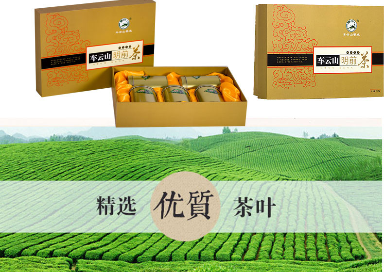 【随县馆】随县车云山 明前茶 250g