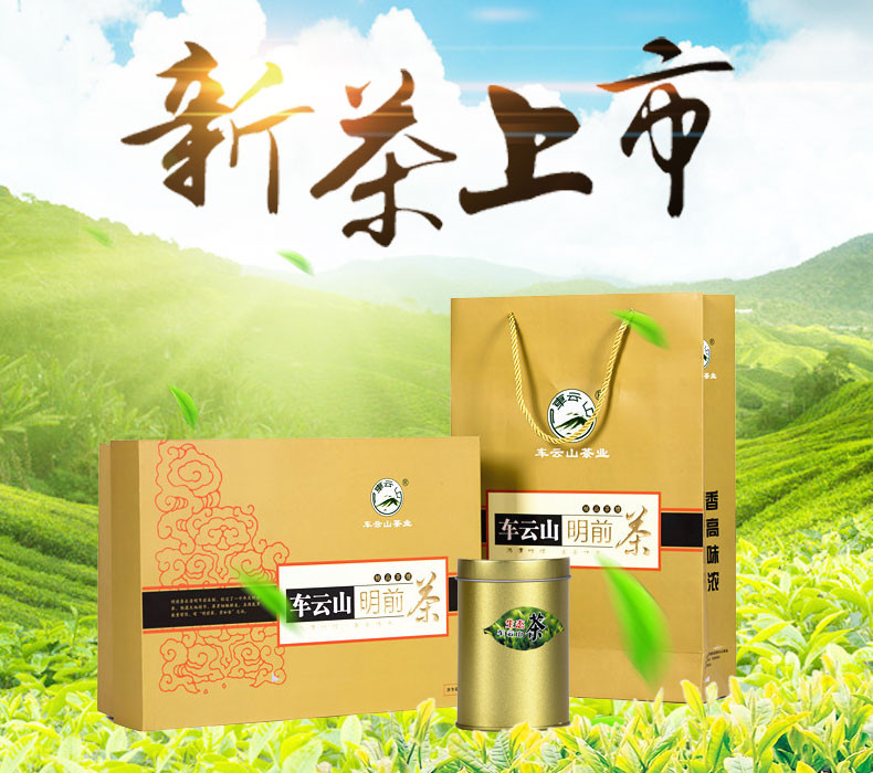 【随县馆】随县车云山 明前茶 250g