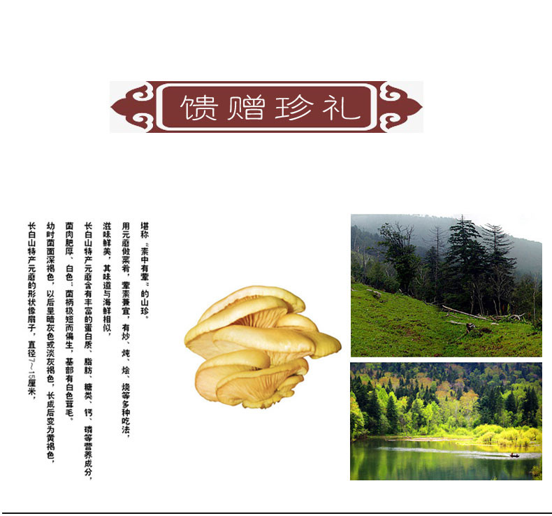 【黑龙江大米节】【黑龙江牡丹江穆棱】 畾森东北野生元蘑250g/袋全国包邮/不含青海、西藏、新疆