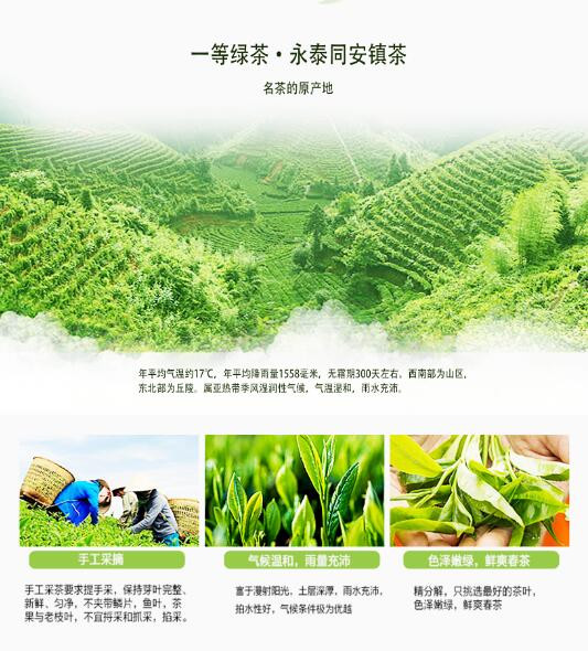 【鸿山岩】福建高山绿茶/白露茶 250g全新上市