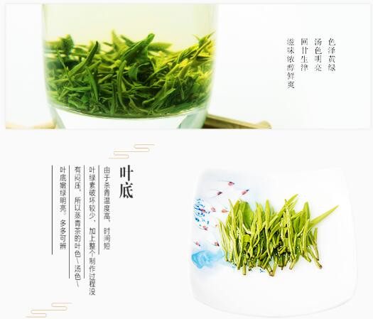 【鸿山岩】福建高山绿茶/白露茶 250g全新上市