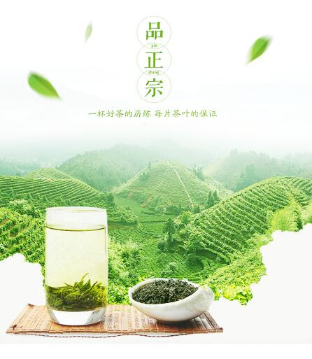 【鸿山岩】福建高山绿茶/白露茶 250g全新上市