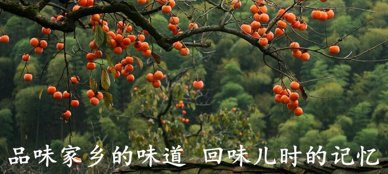 【四月小铺】太行山柿饼 干柿子饼 农家自制林州特产甜糯大霜2斤