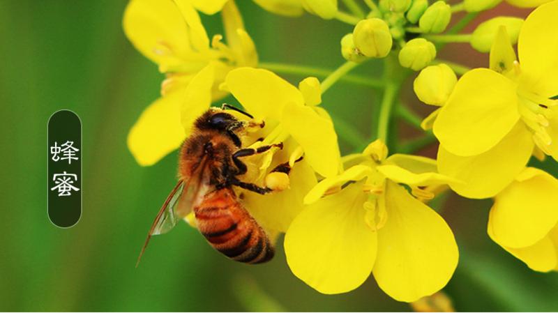 【四月小铺】林州特产老字号农家自产土蜂蜜野生百花蜜无添加1斤