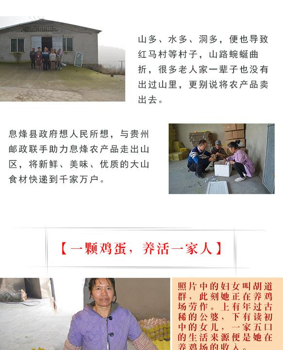 【贵阳馆】息农五谷鸡蛋  20枚/盒  贵州省内包邮 港，澳，台，西藏等偏远地区暂不支持发货。