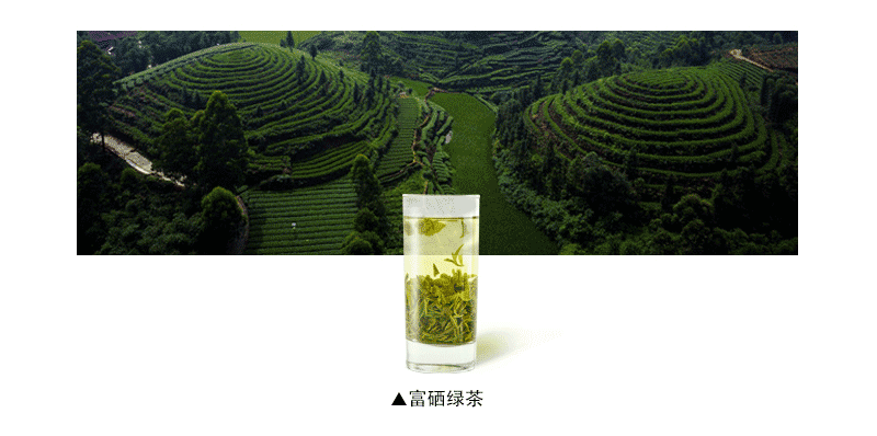寻常人家绿茶100克