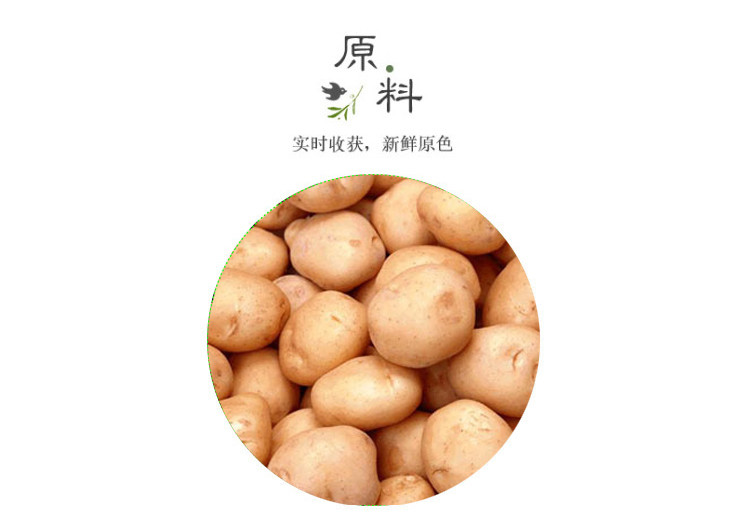 【定西市振兴馆】定西特产胡麻岭 粉条  500g/袋