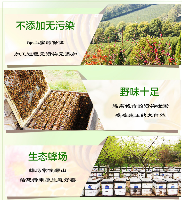 【邮乐  定西馆】渭源农家土蜂蜜500g    包邮