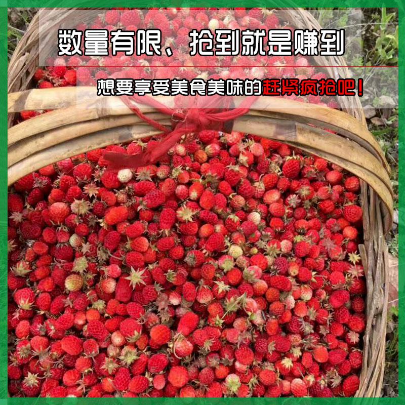 【岷信源】新鲜草莓罐头糖水水果罐头食品烘焙320g*1罐包邮