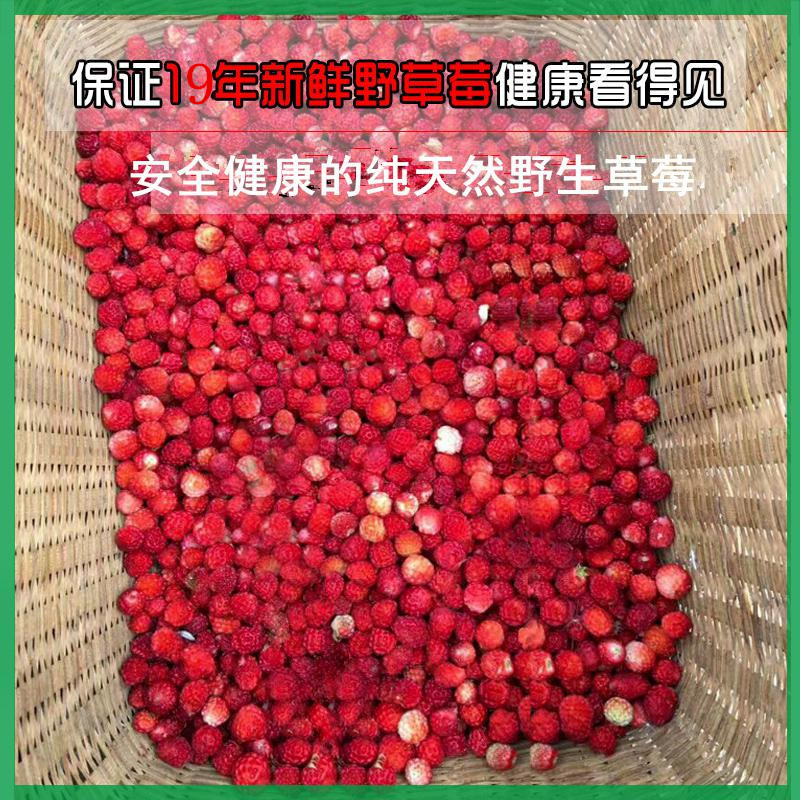 【邮乐 定西馆】 新品上市 岷县草莓罐头6瓶装包邮