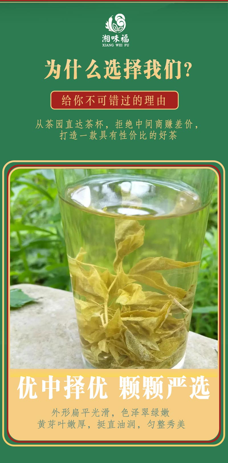 湘味福 【湘西】永顺莓茶500g老叶