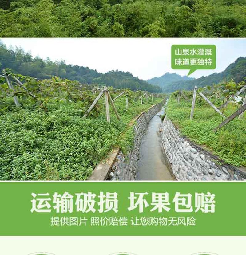 亚特猕猴桃 新鲜水果 奇异果胜江山野生弥猴桃12粒装(80-100)包邮