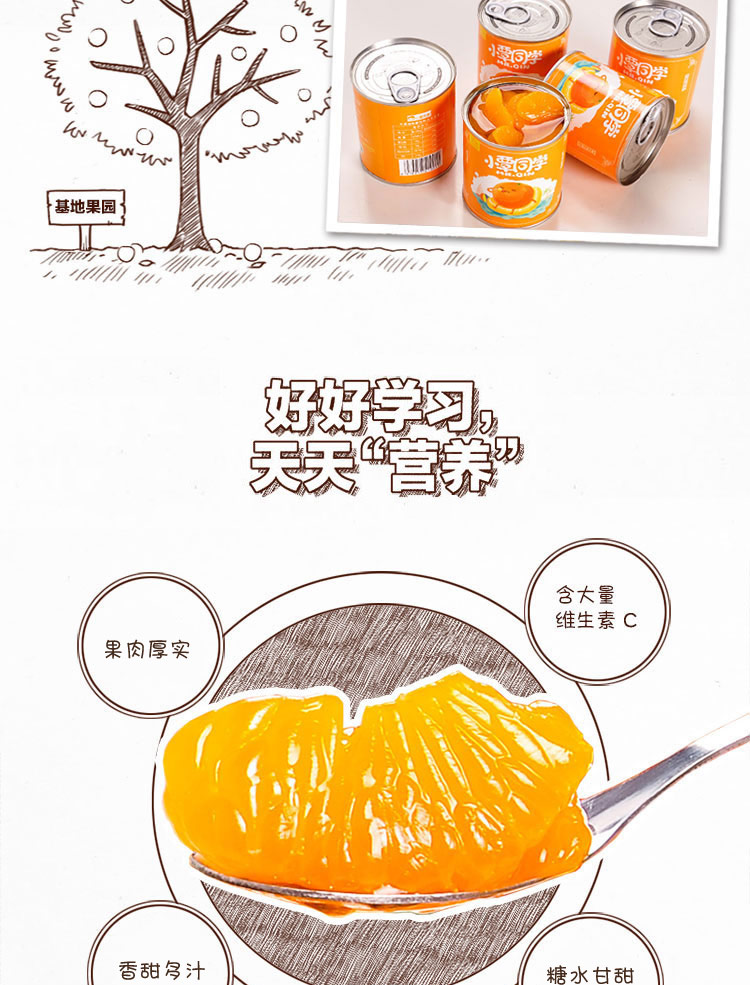 【远安馆】小覃同学新鲜桔子水果罐头312g 12罐 糖水橘子食品出口礼品盒包装
