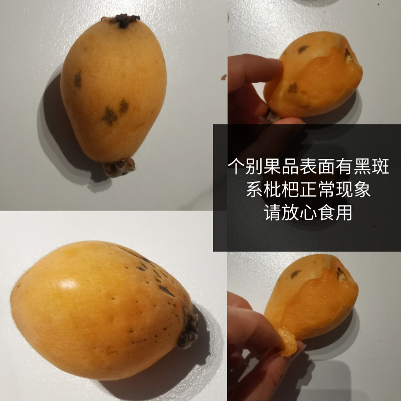 邮政农品 福清一都枇杷