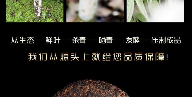 【大连馆】九源尚 普洱茶饼 100g 包邮