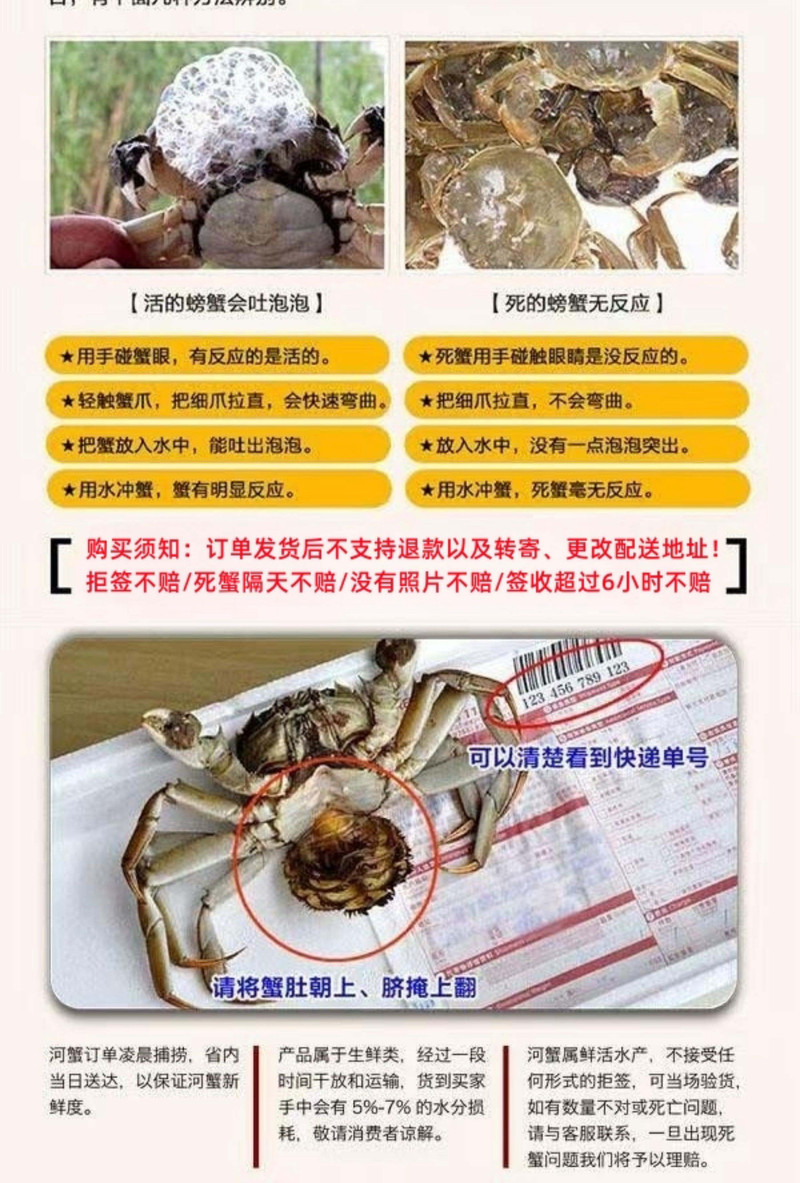 寰球邮鲜 【大连馆】盘锦河蟹产地直发多规格115起 【辽宁省内包邮】